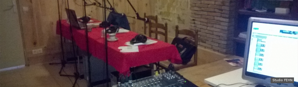 Salle 1 Studio FEHN